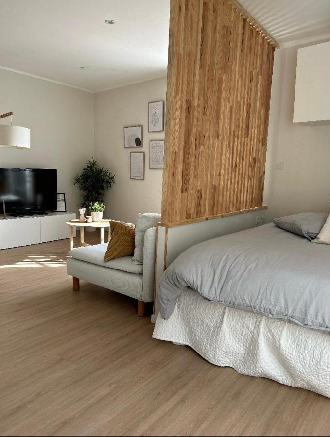 Studio Hyper Centre De Castres Кастр Экстерьер фото